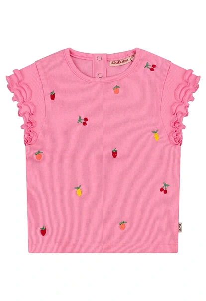 Bakkaboe baby meisjes T-shirts